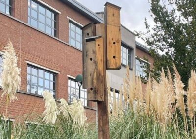 Découverte nature à Saint-Gilles : Le bâti ancien, un lieu d&rsquo;accueil pour la faune et la flore urbaines ? mercredi 20.05.26